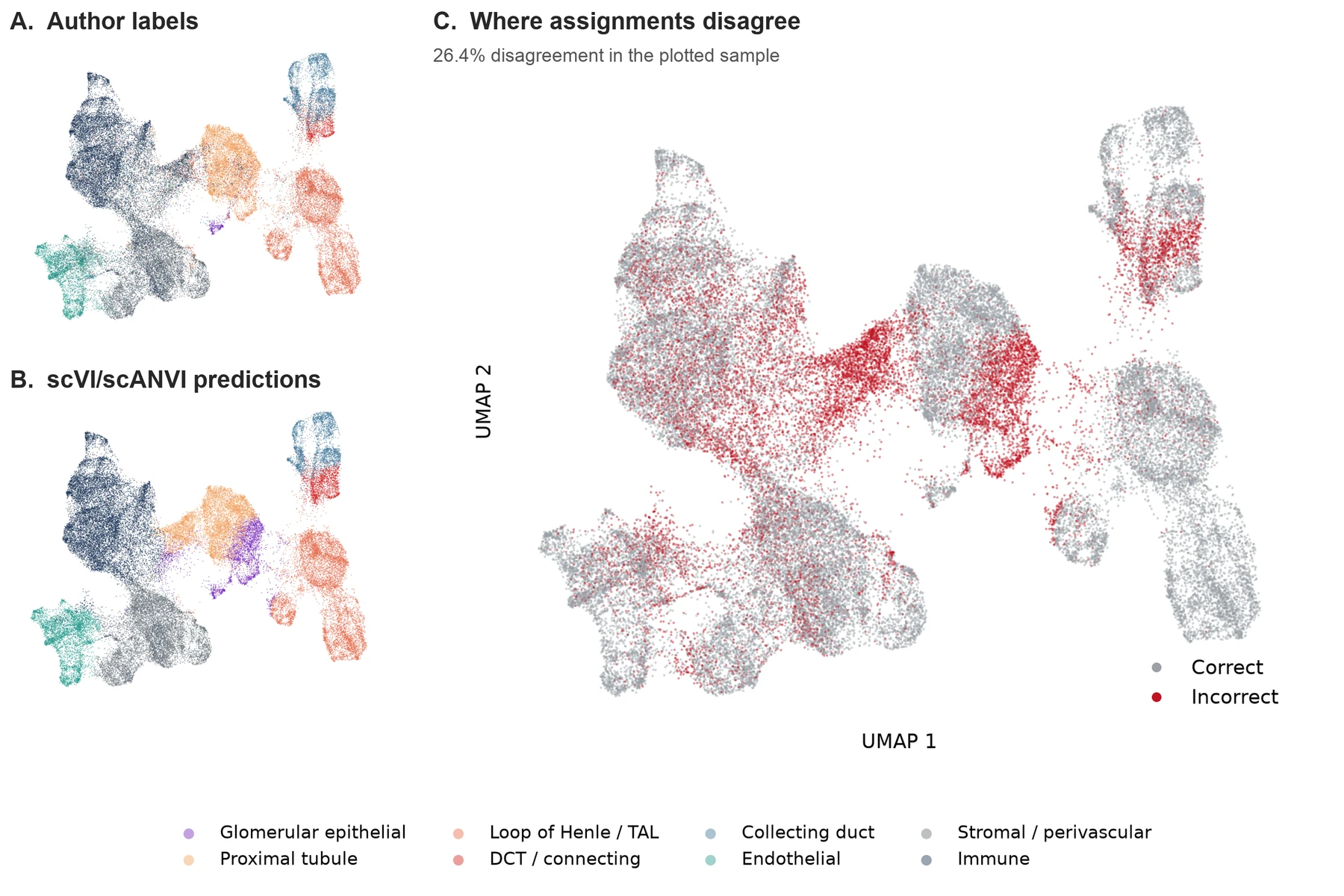 Small author-label and model-prediction UMAP panels beside a larger disagreement map of the same external cells